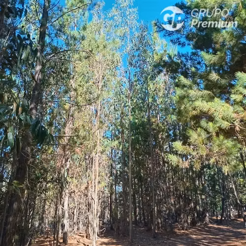 11 ha Alto Potencial de Loteo Zona en Crecimiento Licantén