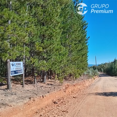 11 ha Alto Potencial de Loteo Zona en Crecimiento Licantén
