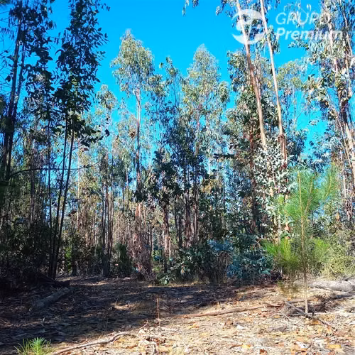 11 ha Alto Potencial de Loteo Zona en Crecimiento Licantén