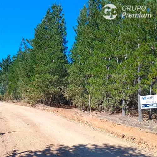 11 ha Alto Potencial de Loteo Zona en Crecimiento Licantén