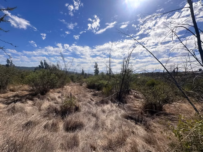 Venta de Terreno en Conjunto Parcelado Belloto - Imagen 4