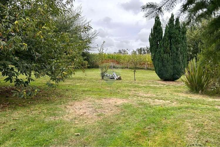 Venta de casa en los riscos, pucón - Imagen 24