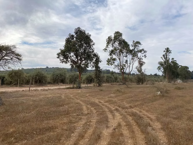Inversión Segura en Zona de Alta Demanda (153361) - Imagen 3