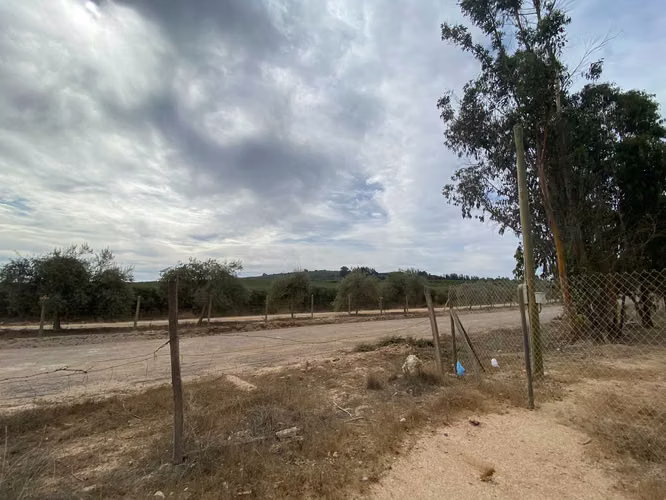 Inversión Segura en Zona de Alta Demanda (153361) - Imagen 6