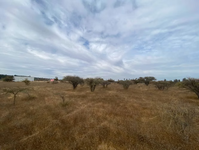 Oportunidad Única: Terreno con Gran Potencial (153361)