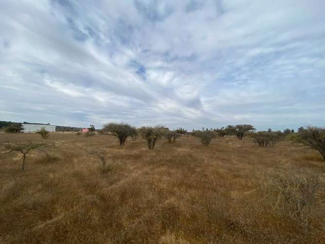 Oportunidad Única: Terreno con Gran Potencial (153361)