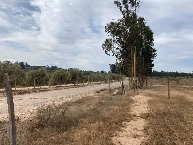 Inversión Segura en Zona de Alta Demanda (153361) - Imagen 9