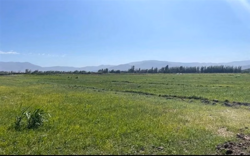 Agrícola en Venta en Lampa