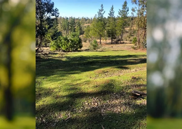 Parcela en oferta en Cauquenes