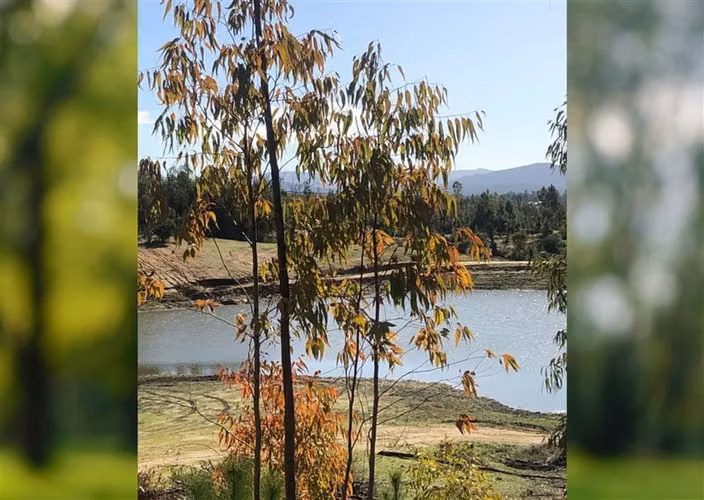 Parcela en oferta en Cauquenes