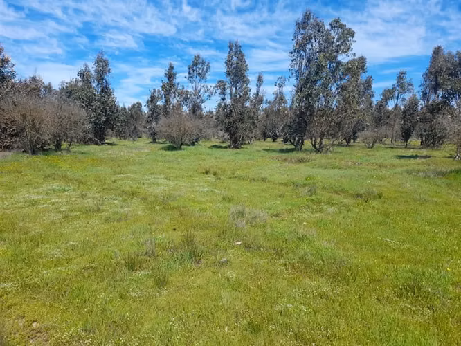 Parcela en oferta en Cauquenes
