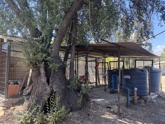 Parcela en arriendo en Pirque
