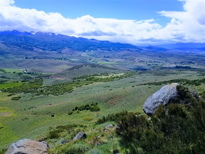 Agrícola en venta en Lonquimay