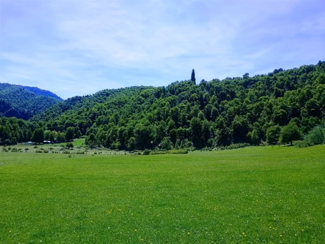 Agrícola en venta en Lonquimay