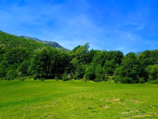Agrícola en venta en Lonquimay