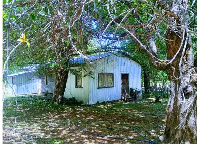 Agrícola en venta en Lonquimay