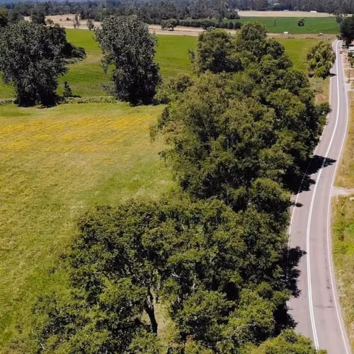 Parcelas en Frutillar, bosques y praderas. Financiamiento