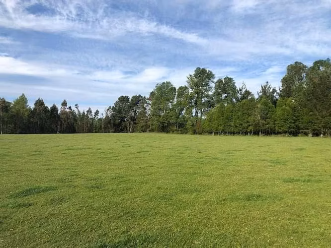 Parcelas en Frutillar, bosques y praderas. Financiamiento