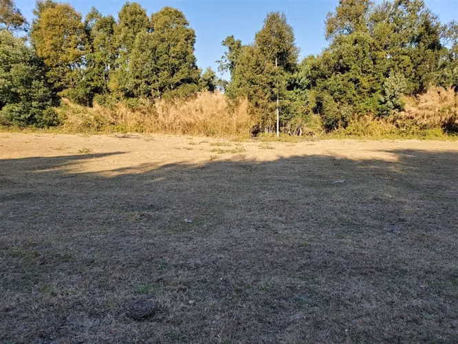 Parcela en venta en Lanco a orilla de rio, - Imagen 3