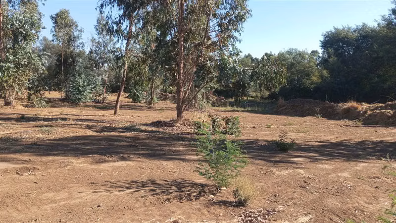 Parcela en Venta en Talca