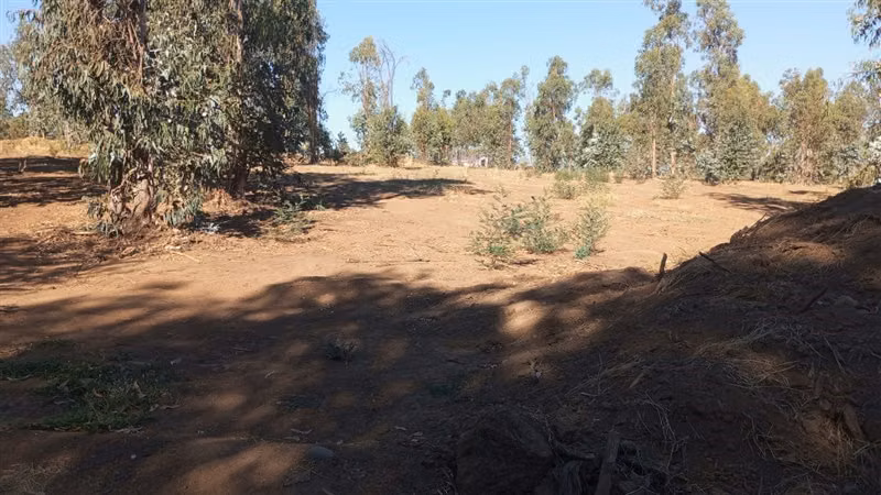 Parcela en Venta en Talca