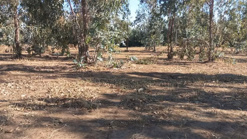 Parcela en Venta en Talca