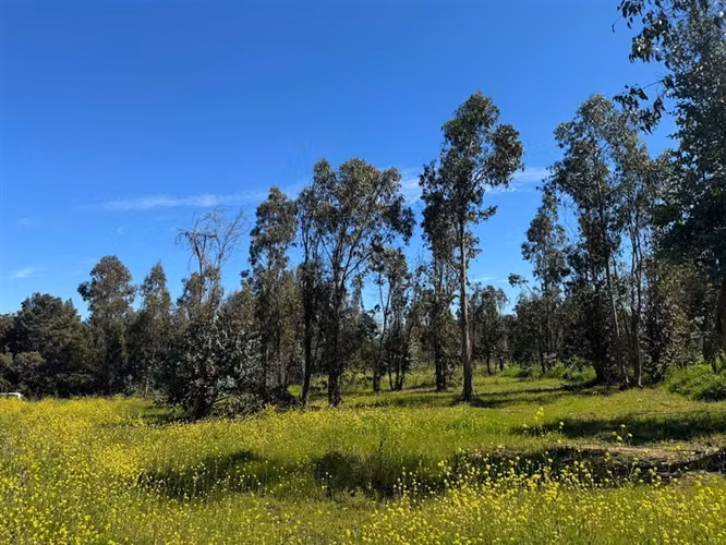 Terreno Construccion  en Venta en Talca - Imagen 8