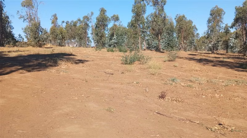 Terreno Construccion  en Venta en Talca