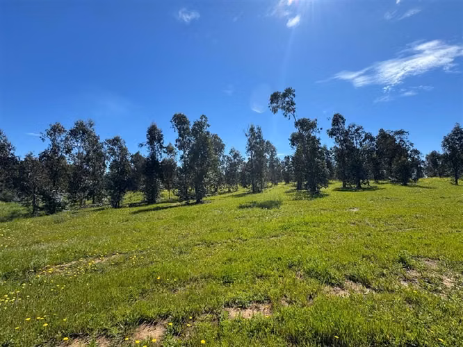 Terreno Construccion  en Venta en Talca - Imagen 14