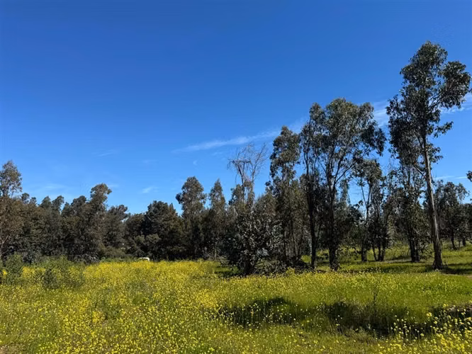 Terreno Construccion  en Venta en Talca - Imagen 7