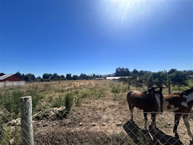 Sitio en venta en Curacaví