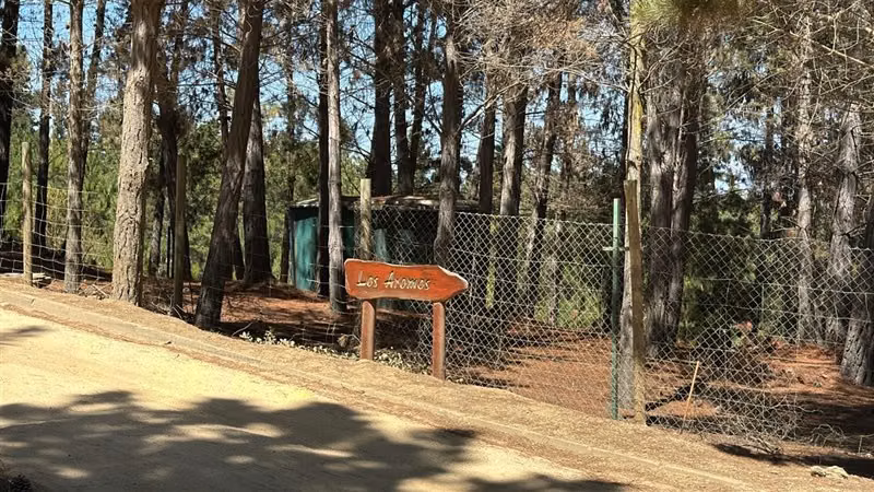 Sitio en venta en Algarrobo