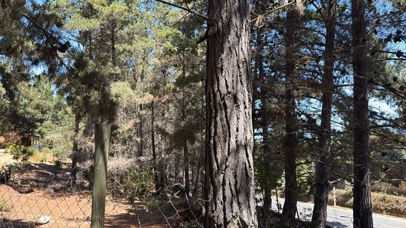 Sitio en venta en Algarrobo