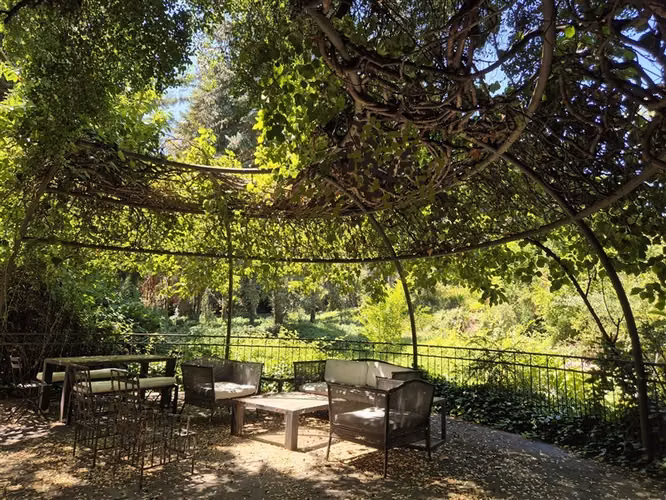 VENTA SITIO CON AMPLIA SUPERFICIE ÚTIL, PAISAJISMO Y CASA