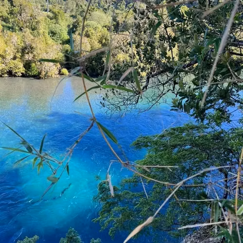 Parcelas a 2 minutos del Lago Rupanco, acceso a Rio