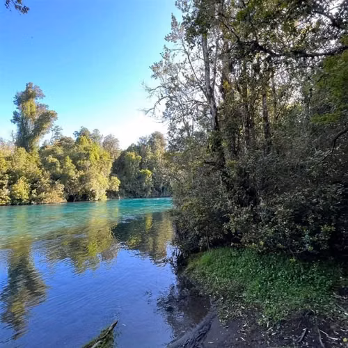 Parcelas a 2 minutos del Lago Rupanco, acceso a Rio