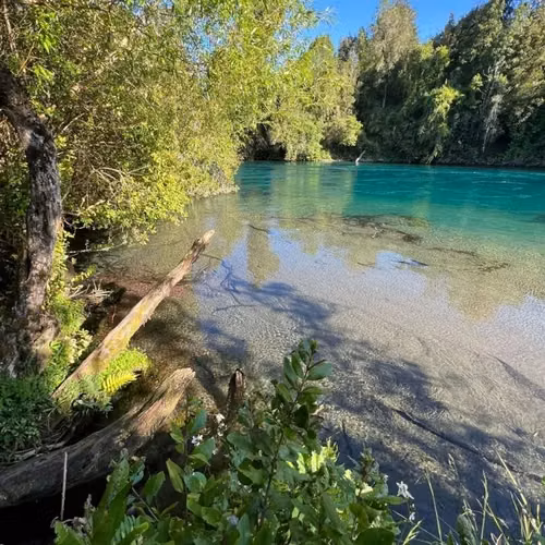 Parcelas a 2 minutos del Lago Rupanco, acceso a Rio