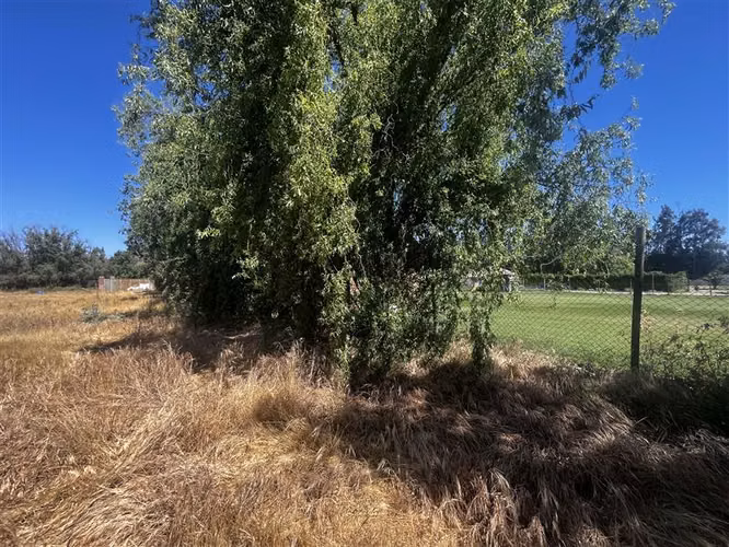 Sitio en venta en Talagante