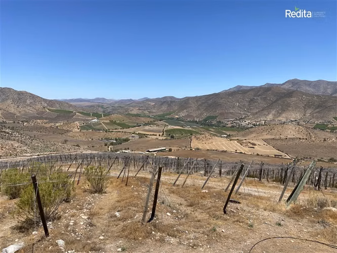Oportunidad: Fundo agrícola en Monte Patria Valor inferior
