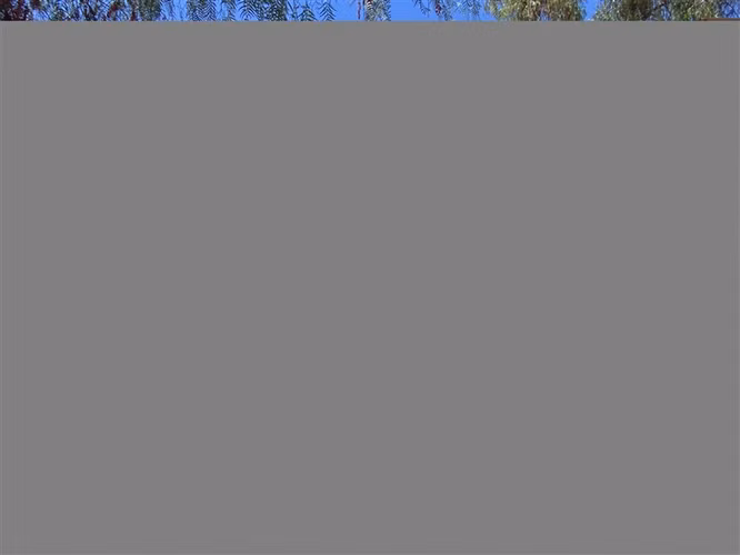 Oportunidad: Fundo agrícola en Monte Patria Valor inferior