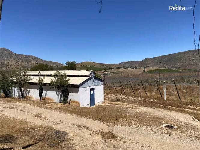 Oportunidad: Fundo agrícola en Monte Patria Valor inferior