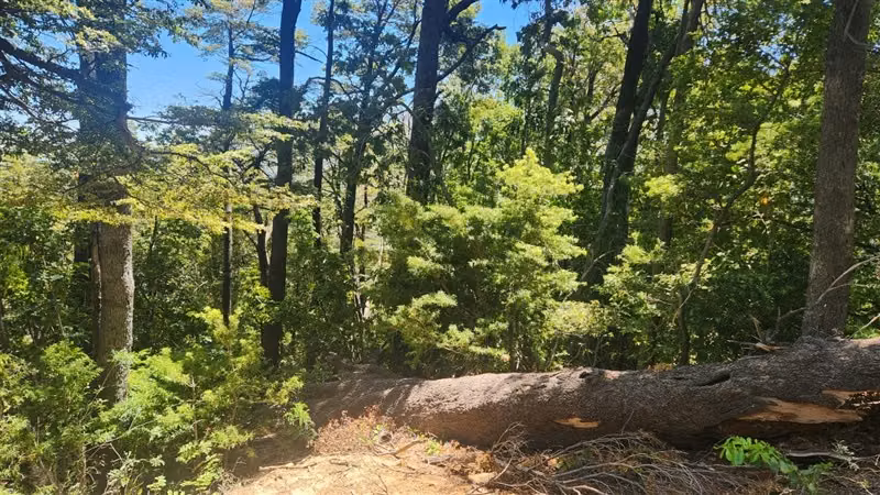 Parcela en Valle de Atacalco, sector ecoturístico, Killahue
