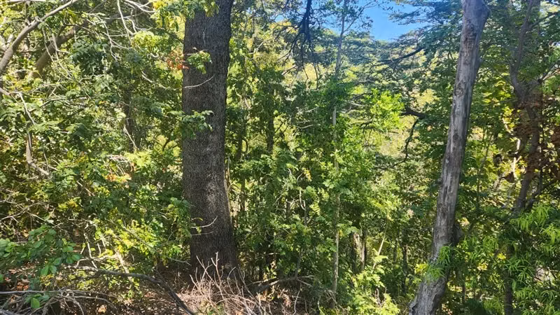 Parcela en Valle de Atacalco, sector ecoturístico, Killahue