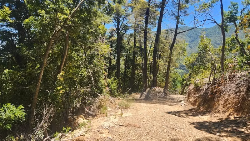 Parcela en Valle de Atacalco, sector ecoturístico, Killahue