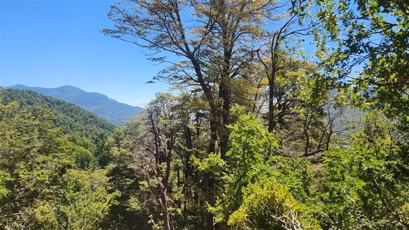 Parcela en Valle de Atacalco, sector ecoturístico, Killahue
