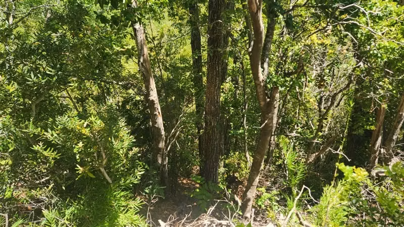Parcela en Valle de Atacalco, sector ecoturístico, Killahue
