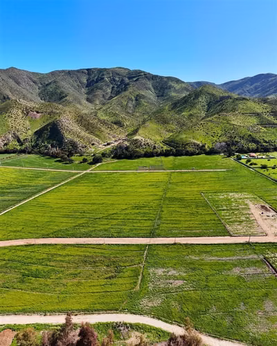 Parcela en venta en Valle del Elqui, sector Marquesa - Imagen 4