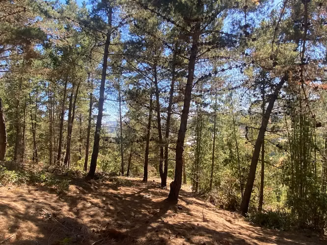 Parcela en venta Pupuya
