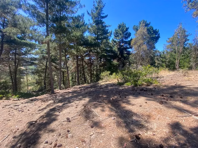Parcela en venta Pupuya