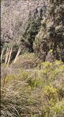 Terreno frente a Casa Molle, El Molle Vicuña - Imagen 7